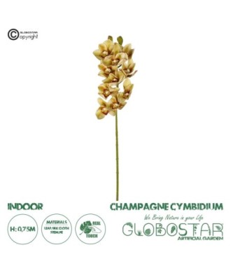 GloboStar® Artificial Garden CHAMPAGNE CYMBIDIUM BRANCH 21408 Τεχνητό Διακοσμητικό Κλαδί Σαμπανί Κυμβίδιο  Y75cm